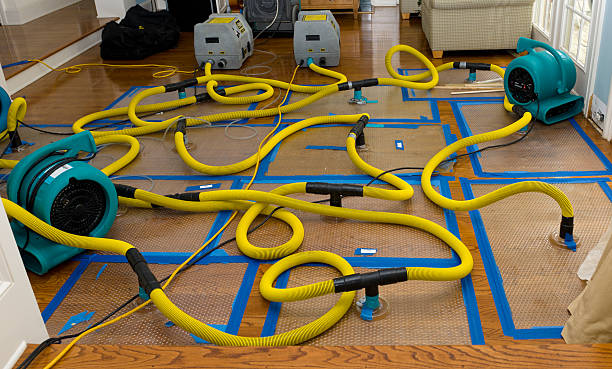 Professional Crawl Space Water Removal technician working in Dolomite, AL